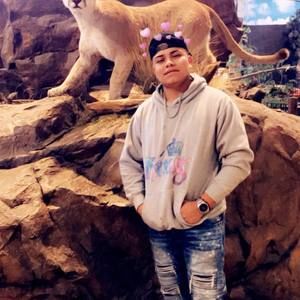 Meet your Posher, Herberth